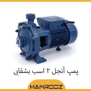 پمپ آنجل 2 اسب بشقابی
